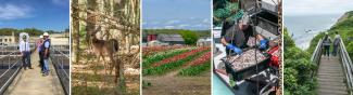 Array of photos of Rhode Island: a wastewater treatment plant, a white tailed deer, rows of tulips growing at Snake Den Farm, a fisherman unloads calamari at the Port of Galilee, two people stand on the walkway down to the shoreline on Block Island